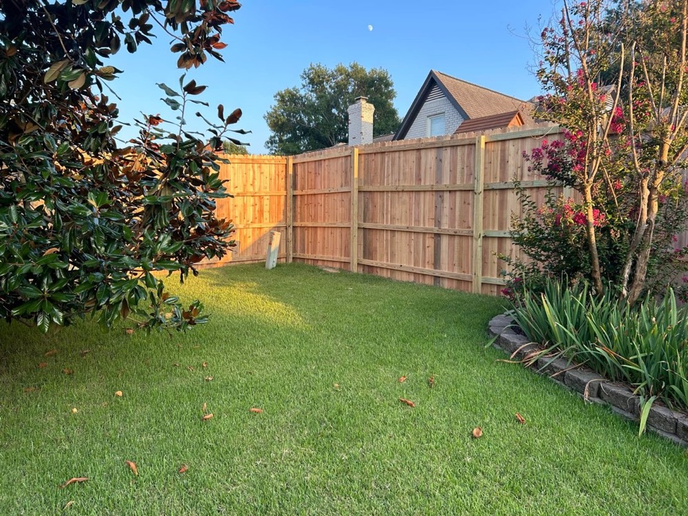 A green backyard behind a new wood fence